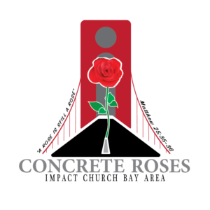 Concrete Roses